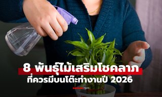 8 สุดยอดต้นไม้ "เรียกทรัพย์" วางบนโต๊ะทำงาน เสริมดวงการเงินปี 2026!