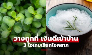 แค่มี 3 สิ่งนี้ในบ้าน ก็เหมือนเปิดประตูต้อนรับโชคลาภ ดึงดูดเงินทองเข้ามา