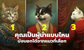 แบบทดสอบ เลือกแมวที่ชอบ เผยสไตล์ "ความเป็นผู้นำ" ในแบบของคุณ