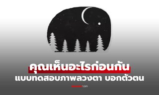แบบทดสอบภาพลวงตา สิ่งที่คุณมองเห็นก่อน บอกนิสัยลึก ๆ ได้!
