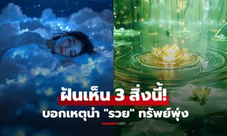 โบราณว่าแม่น! ช่วงสิ้นปี... ใครฝันเห็น 3 สิ่งนี้ เตรียมตัวรวย "การเงินพุ่ง" รับต้นปีถัดไป