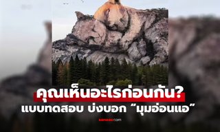 แบบทดสอบ คุณเห็นอะไรก่อนกัน ภาพลวงตา บ่งบอก “มุมอ่อนแอ” ที่ไม่มีใครเคยเห็น