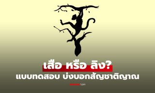 เสือ หรือ ลิง เห็นอะไรก่อนกัน แบบทดสอบ บ่งบอก "สัญชาตญาณ" ในตัวคุณ