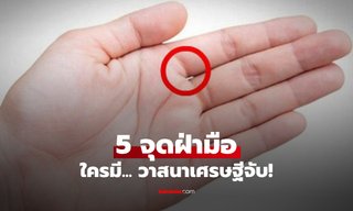 ส่อง 5 จุดบน "ฝ่ามือ" คนดวงเฮง ที่บ่งบอกว่ามีดวงเศรษฐี หยิบจับอะไรเป็นเงินเป็นทอง