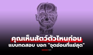 ภาพลวงตา สัตว์ที่เห็นตัวแรก เผยให้เห็น "จุดอ่อนแย่สุด" ที่ตัวคุณ "ไม่อยากยอมรับ"