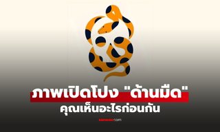 แบบทดสอบ ภาพลวงตา เปิดโปง "ด้านมืด" คุณเห็นอะไรเป็นอย่างแรก