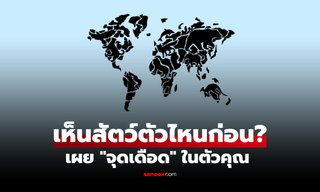 แบบทดสอบภาพลวงตา เห็นสัตว์ตัวไหนก่อน บ่งบอกตัวกระตุ้น "ความหงุดหงิด" ของคุณ