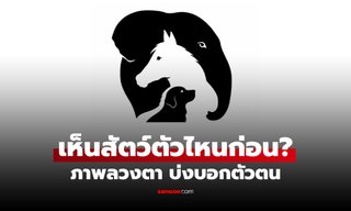 ภาพลวงตา คุณเห็นสัตว์ตัวไหนก่อน? บ่งบอกจุดแข็ง และด้านที่ต้องปรับปรุง