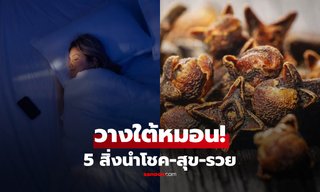 เผย 5 สิ่งของ ตามความเชื่อวาสตู "วางใต้หมอน" นอนรับทรัพย์-ปัดเป่าสิ่งไม่ดีข้ามคืน!