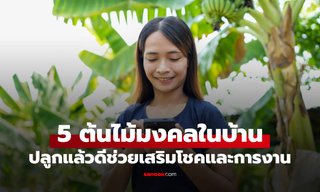 5 ต้นไม้มงคล ปลูกในบ้านแล้วดี เสริมโชค หนุนหน้าที่การงานรุ่งเรือง