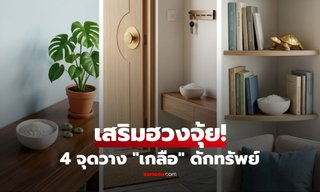 เจาะ 4 พิกัด "วางเกลือ" ในบ้าน เสริมฮวงจุ้ย-ดึงดูดทรัพย์-ไล่สิ่งอัปมงคล ตามโบราณเชื่อ!