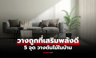 5 ตำแหน่ง "วางต้นไม้ในบ้าน" เสริมพลังบวกตามหลักฮวงจุ้ย ช่วยเรียกทรัพย์