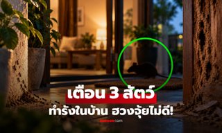 เตือน 3 สัตว์ "ทำรังในบ้าน" ตามความเชื่อโบราณ เป็นสัญญาณของฮวงจุ้ยไม่ดี!