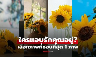 ใครกำลังแอบชอบคุณ? เลือก 1 ใน 4 ภาพ เผยคนแบบไหนที่มักตกหลุมรักคุณ