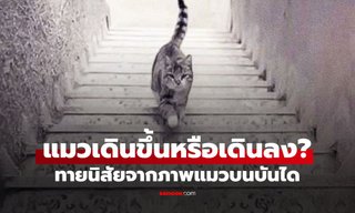 แมวเดินขึ้นหรือเดินลงบันได? คำตอบที่คุณเห็น สะท้อนวิธีคิดของคุณ