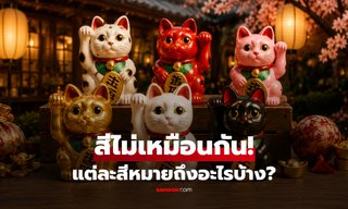 เปิดความลับ "แมวกวักญี่ปุ่น" ทำไมต้องยกมือเรียกโชค? แล้วแต่ละสีหมายถึงอะไร?