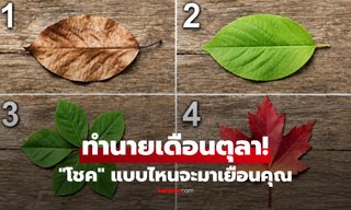 เลือกใบไม้ที่ทำให้คุณประทับใจที่สุด ทำนายโชคดีใน "เดือนตุลาคม" เรื่องใดจะมาเยือน?