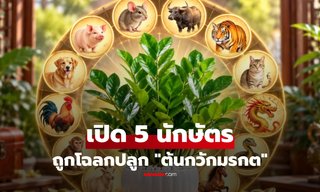 5 นักษัตร ถูกโฉลก “ต้นกวักมรกต” ปลูกเสริมโชคลาภ-เงินทอง จัดวางแบบนี้ยิ่งดี!