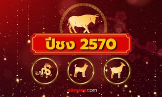 ปีชง 2570 ปีนักษัตรอะไร พร้อมวิธีแก้ปีชง ให้แคล้วคลาดปลอดภัย