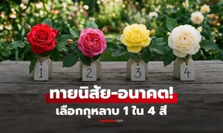 เลือก "สีดอกกุหลาบ" ที่ชอบที่สุด ทายนิสัยและอนาคต การเงิน-การงาน-ความรัก