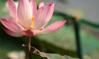 ความเชื่อคนไทย เรื่องวันต่างๆ