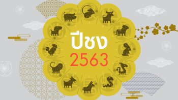 ปีชง 2563 (ปีชวด) มีปีนักษัตรไหนบ้าง พร้อมวิธีแก้ปีชง