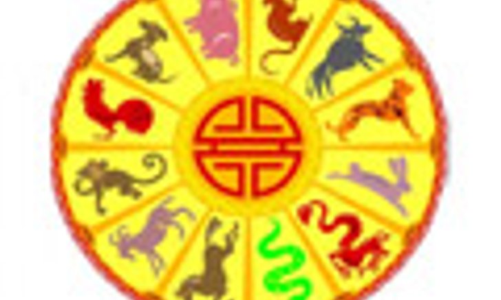 รวมเด็ดดวง ปี เถาะ(กระต่าย) 2554