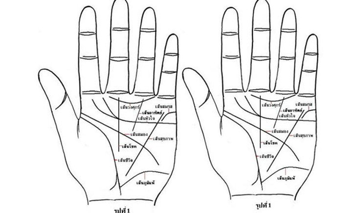 ดูลายมือ...เส้นเหล่านี้บอกอะไรเราได้บ้าง?
