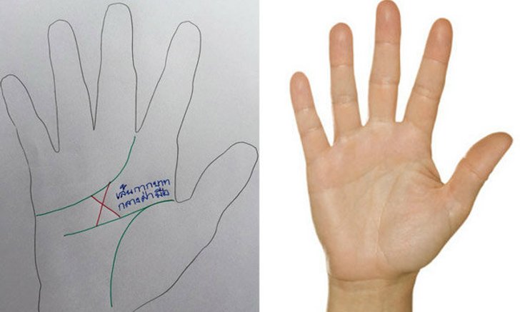 ความหมายที่ซ่อนอยู่ใน “เส้นกากบาทกลางฝ่ามือ”