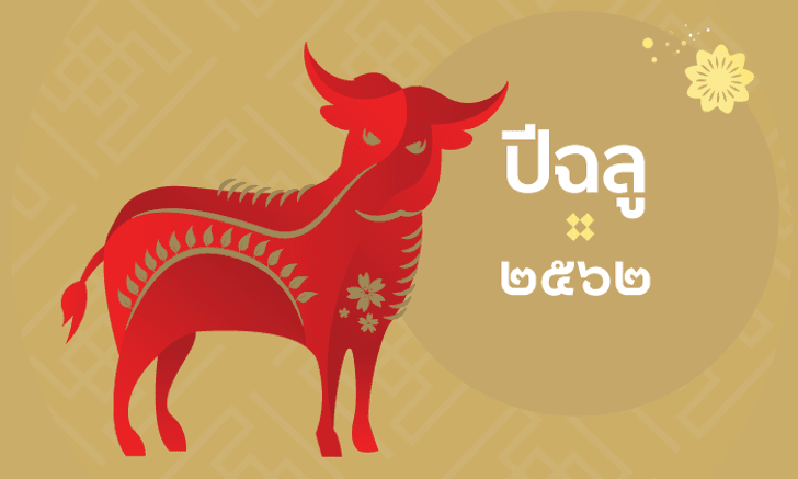 ดูดวงจีน 12 นักษัตร ปี 2562 (ปีฉลู)