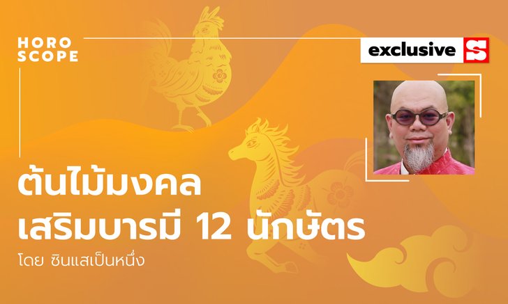 ซินแสเป็นหนึ่งแนะ ต้นไม้มงคลเสริมบารมี 12 นักษัตร