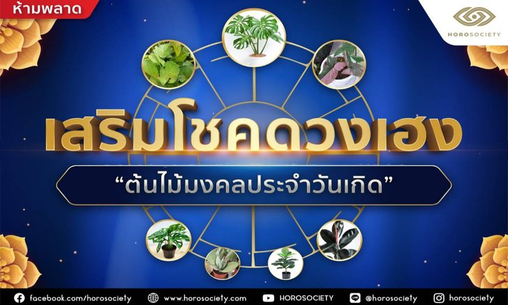 เสริมโชคดวงเฮง ต้นไม้มงคลประจำวันเกิด โดย Horosociety