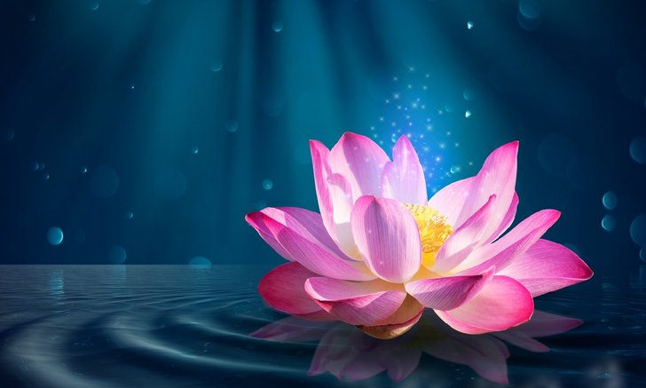 .ฝันเห็นดอกบัว หมายถึงอะไรพร้อม เลขเด็ด ที่เกี่ยวกับความฝัน.