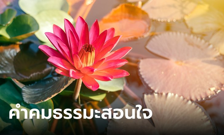 .คำคมธรรมะ แคปชั่นธรรมะ ข้อคิด คำสอนดีๆ เตือนสติ ปล่อยวางจากทุกข์.