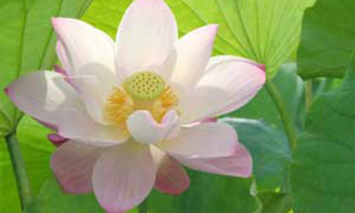 เคล็ดลับเสริมดวงเพิ่มความมงคลในชีวิต