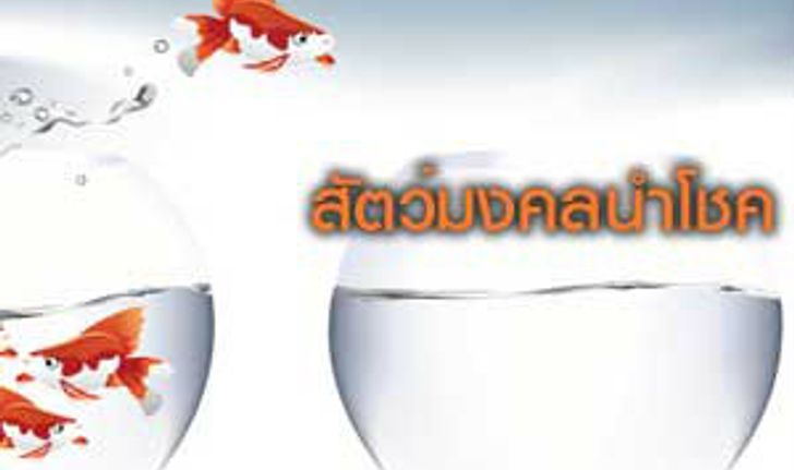 ความเชื่อเรื่องสัตว์นำโชคแต่ละชนิด