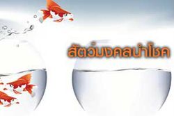 ความเชื่อเรื่องสัตว์นำโชคแต่ละชนิด