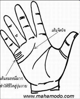 ดูลายมือ