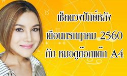 เช็คดวงแม่นๆ ปักษ์หลัง ก.ค.60 กับ "หมอดูต๊อกแต๊ก A4"