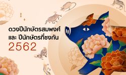 เช็กดวงปีนักษัตรสมพงศ์ และ ปีนักษัตรที่ชงกัน 2562