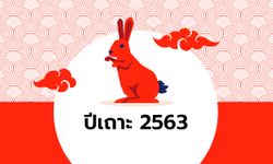 ดูดวงจีน 12 นักษัตร ปี 2563 (ปีเถาะ)