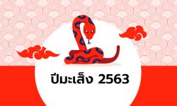 ดูดวงจีน 12 นักษัตร ปี 2563 (ปีมะเส็ง)