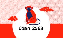 ดูดวงจีน 12 นักษัตร ปี 2563 (ปีวอก)