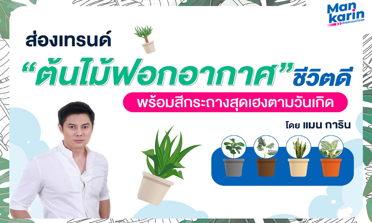 ส่องเทรนด์ ‘ต้นไม้ฟอกอากาศชีวิตดี’ พร้อมสีกระถางสุดเฮงตามวันเกิด