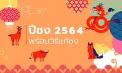 ปีชง 2564 ปีนักษัตรปีฉลู มีปีไหนชงบ้าง พร้อมวิธีแก้ปีชง