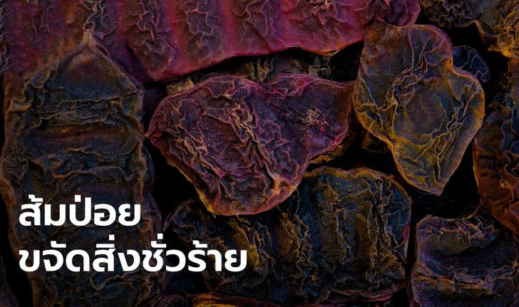 ความเชื่อ "ส้มป่อย" พืชศักดิ์สิทธิ์ ใช้ในพิธีกรรมปัดเป่าสิ่งชั่วร้าย ชำระสิ่งอัปมงคล