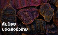 ความเชื่อ "ส้มป่อย" พืชศักดิ์สิทธิ์ ใช้ในพิธีกรรมปัดเป่าสิ่งชั่วร้าย ชำระสิ่งอัปมงคล