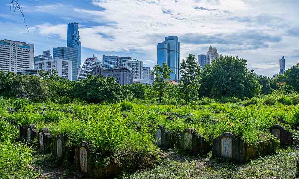 ป่าช้าวัดดอน : สุสานชาวจีนสมัย ร.5 สู่สวนสุขภาพในวงล้อมเมืองที่ทำให้ความน่ากลัวหายไป