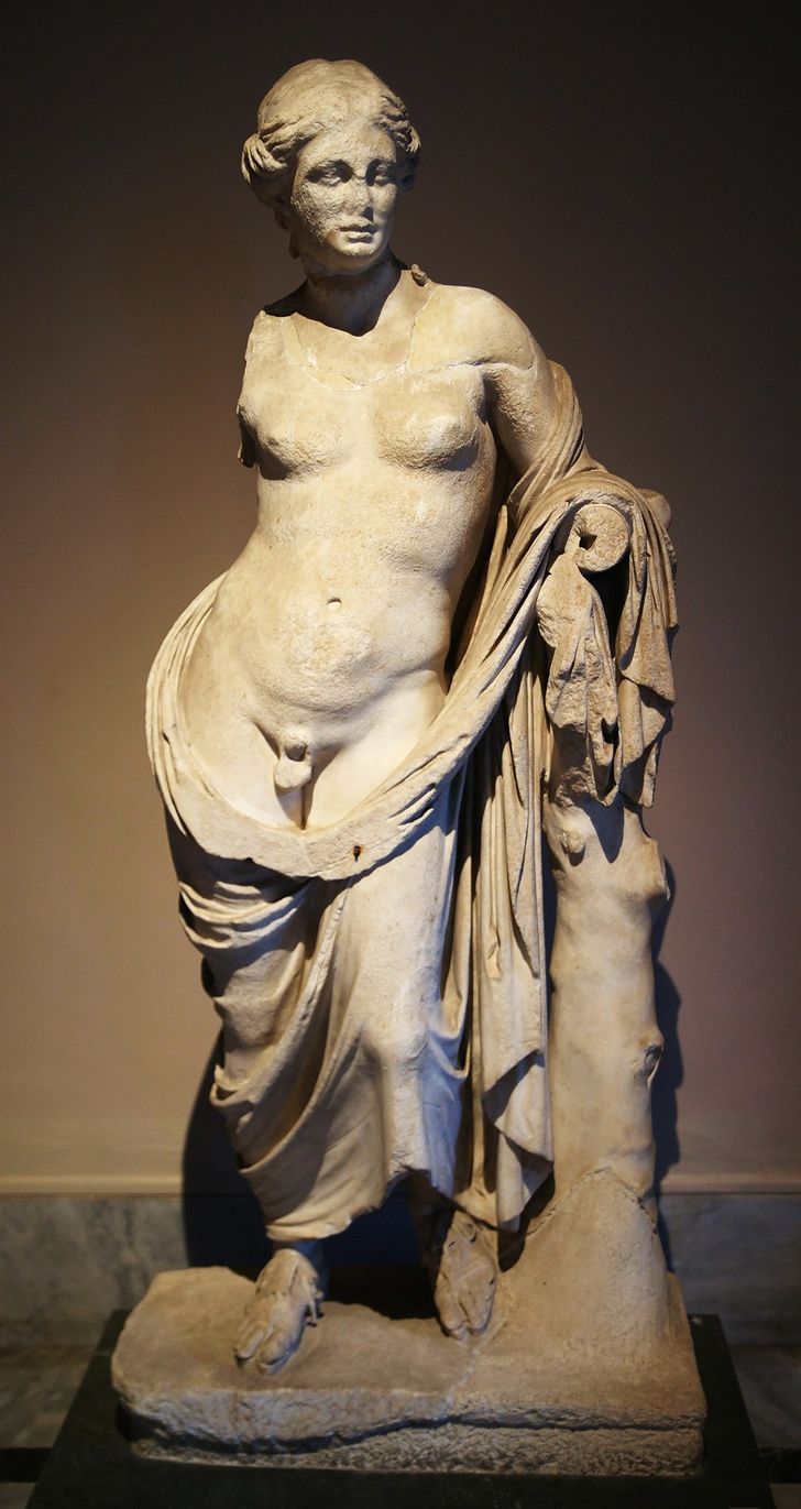 Hermaphroditus