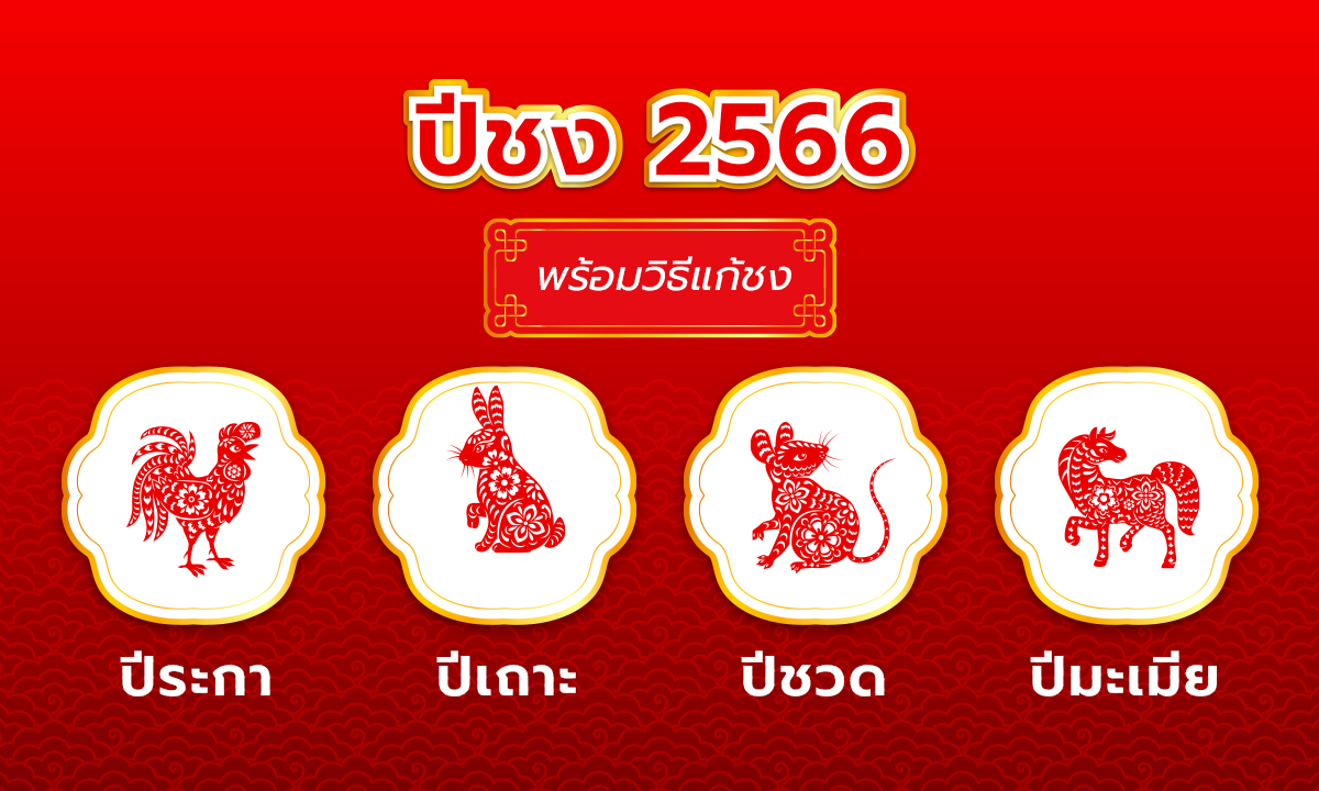 ปีชง 2566 ปีนักษัตรปีเถาะ มีปีไหนชงบ้าง พร้อมวิธีแก้ปีชง